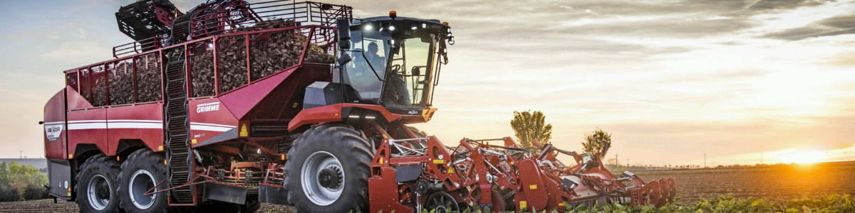 Grimme